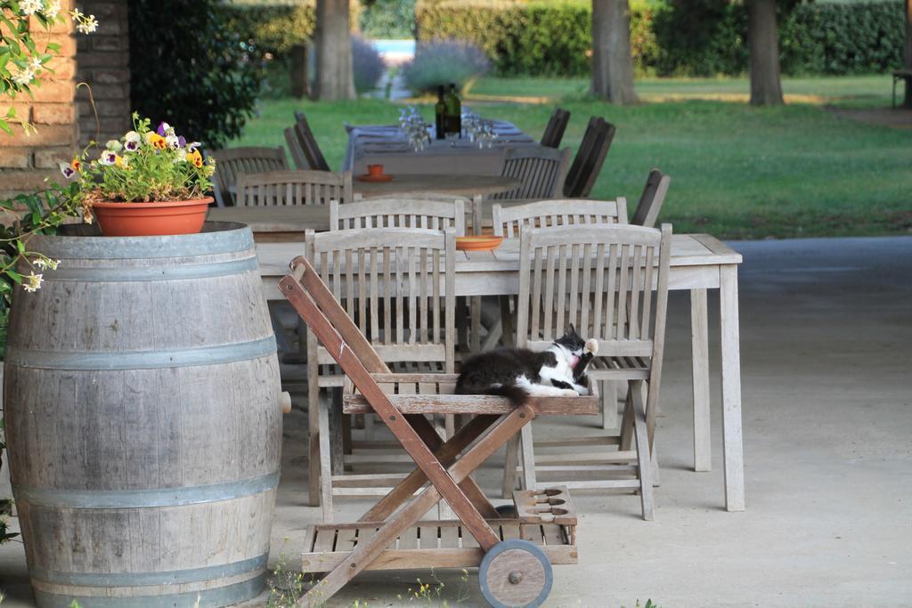 Agriturismo Le Piane Del Milia Suvereto Luaran gambar