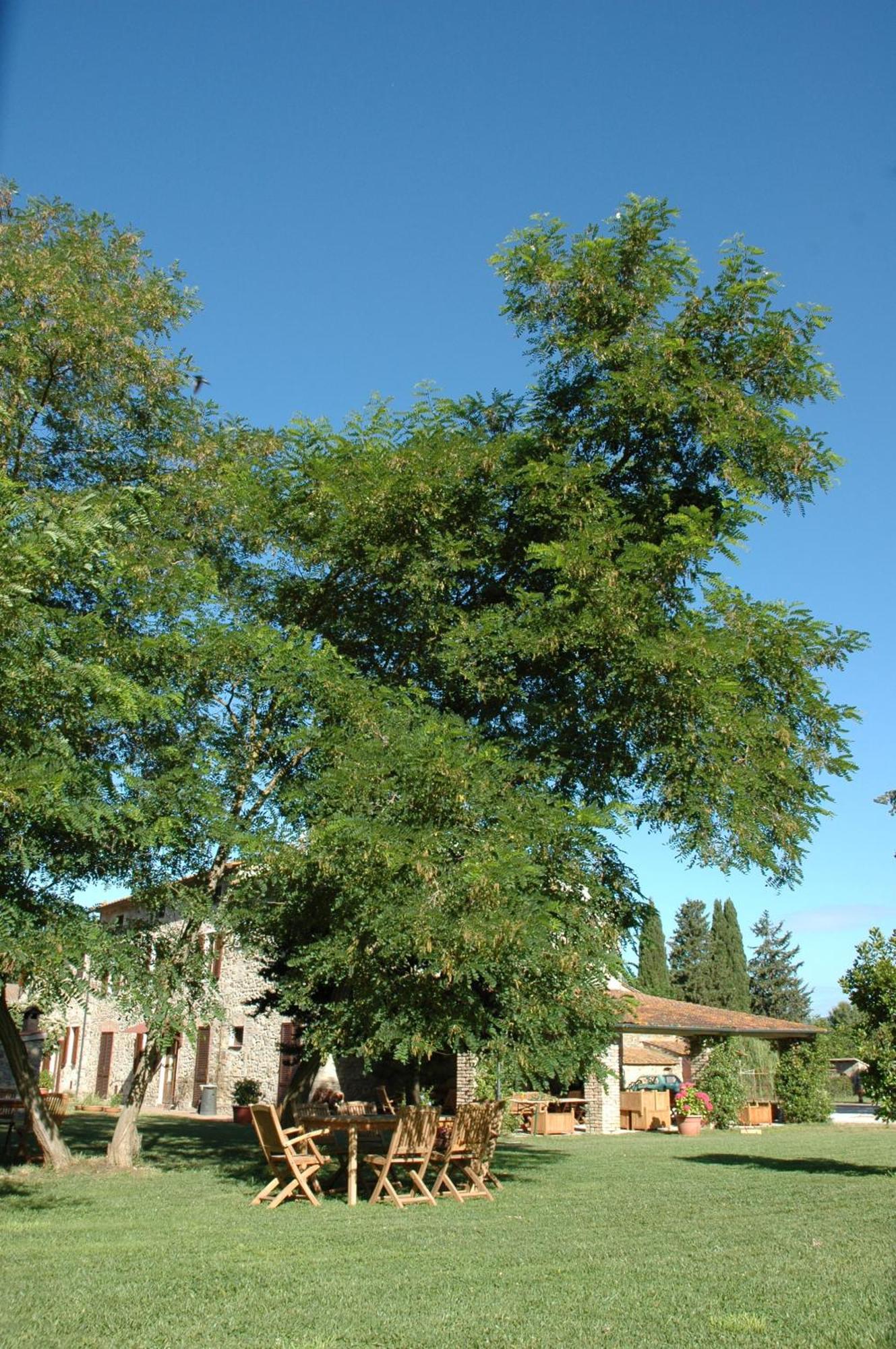 Agriturismo Le Piane Del Milia Suvereto Luaran gambar